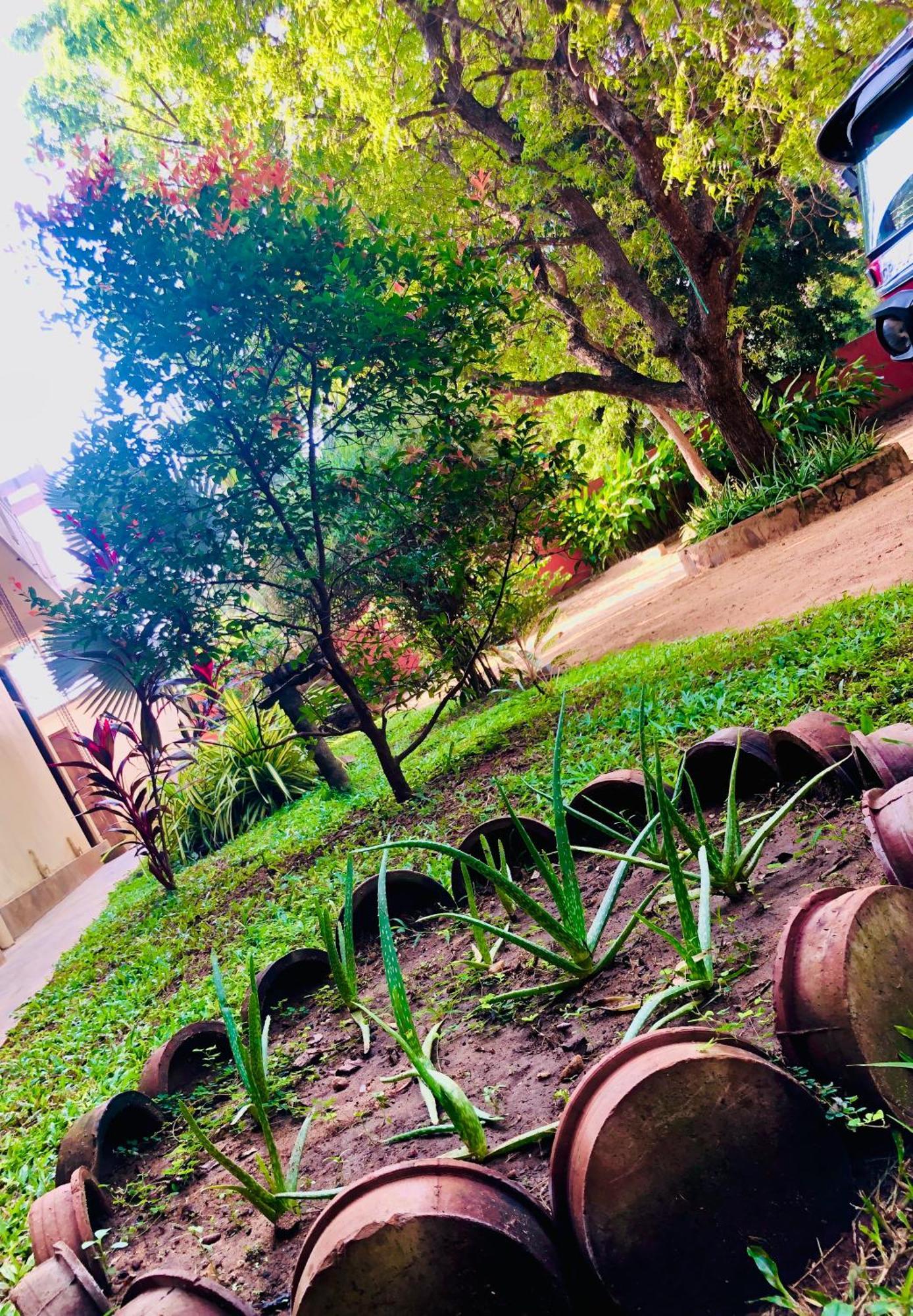 Saman Resort Yala Tissamaharama Exteriér fotografie
