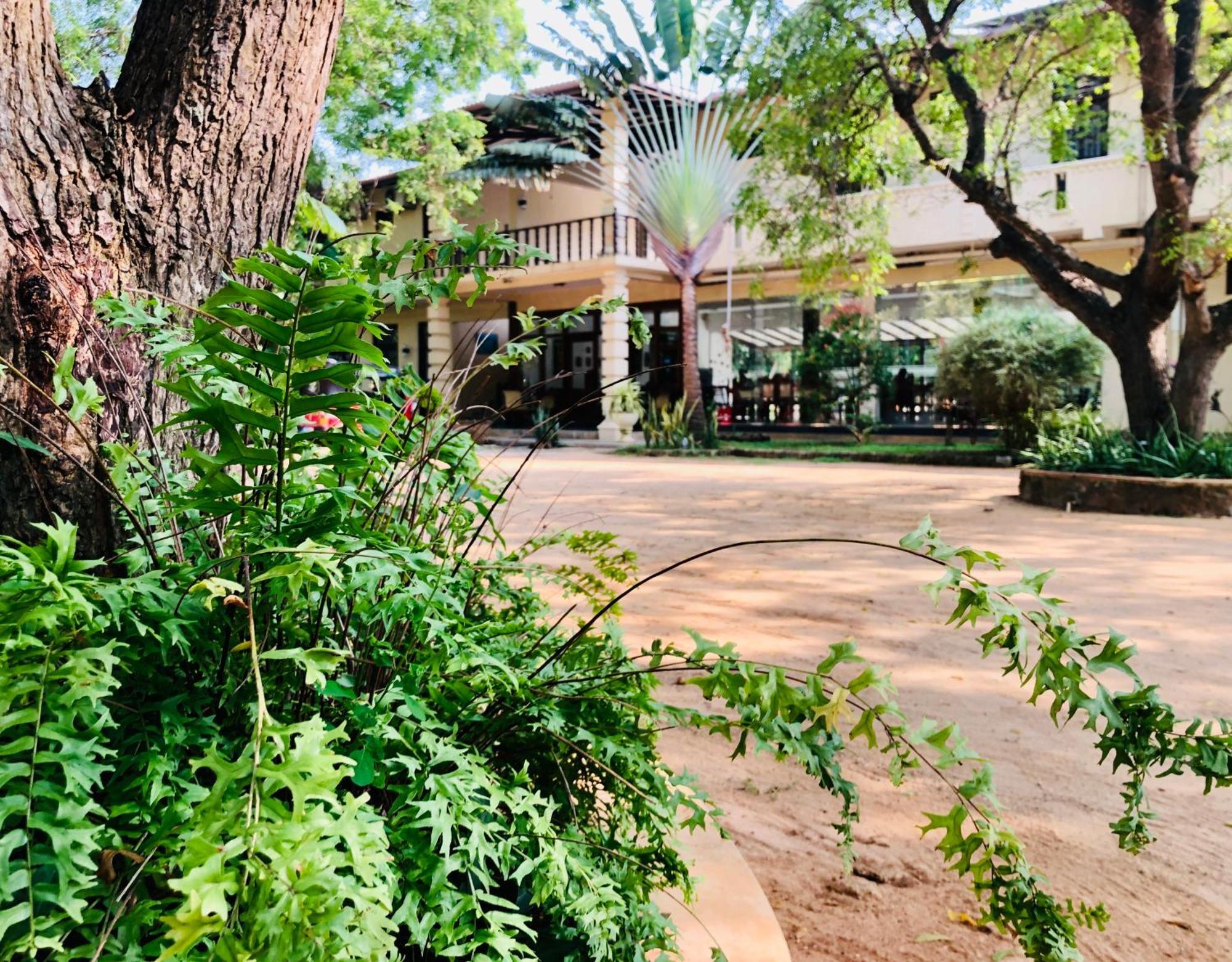 Saman Resort Yala Tissamaharama Exteriér fotografie
