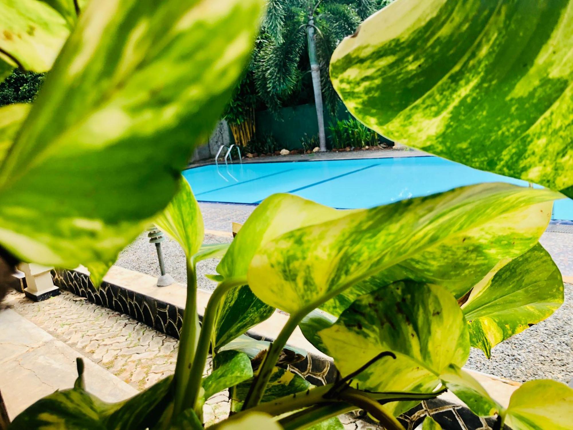 Saman Resort Yala Tissamaharama Exteriér fotografie