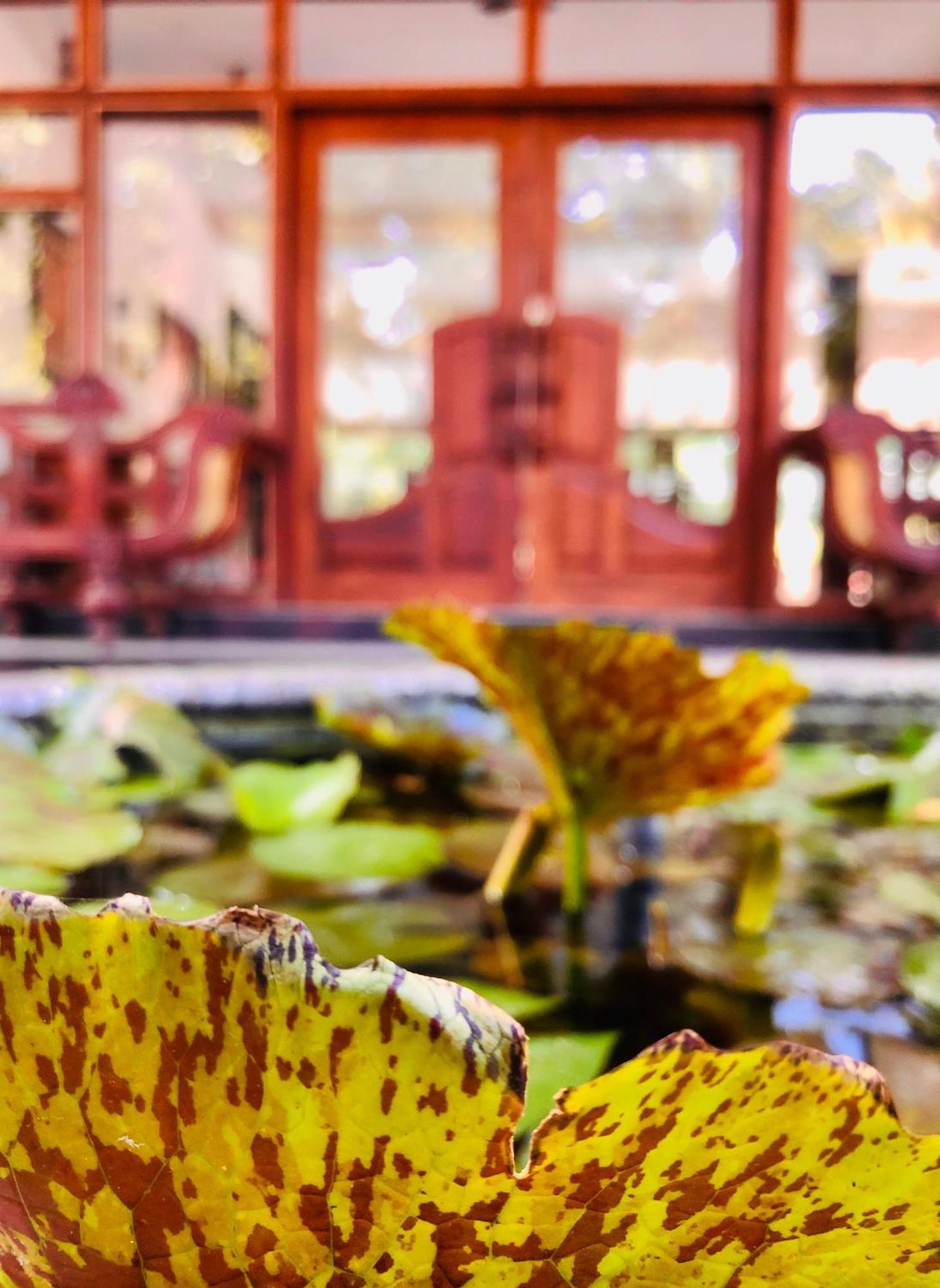 Saman Resort Yala Tissamaharama Exteriér fotografie