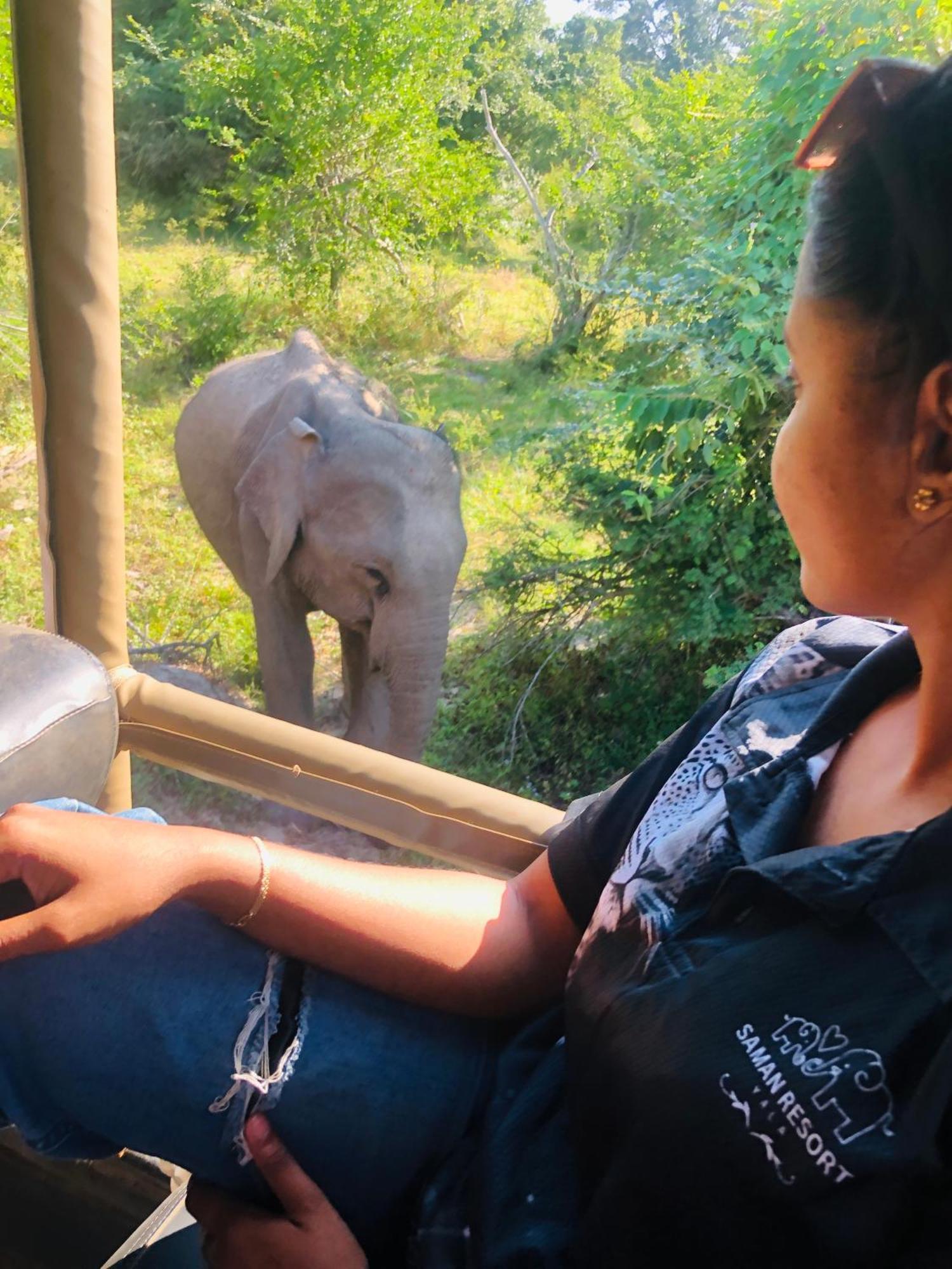 Saman Resort Yala Tissamaharama Exteriér fotografie