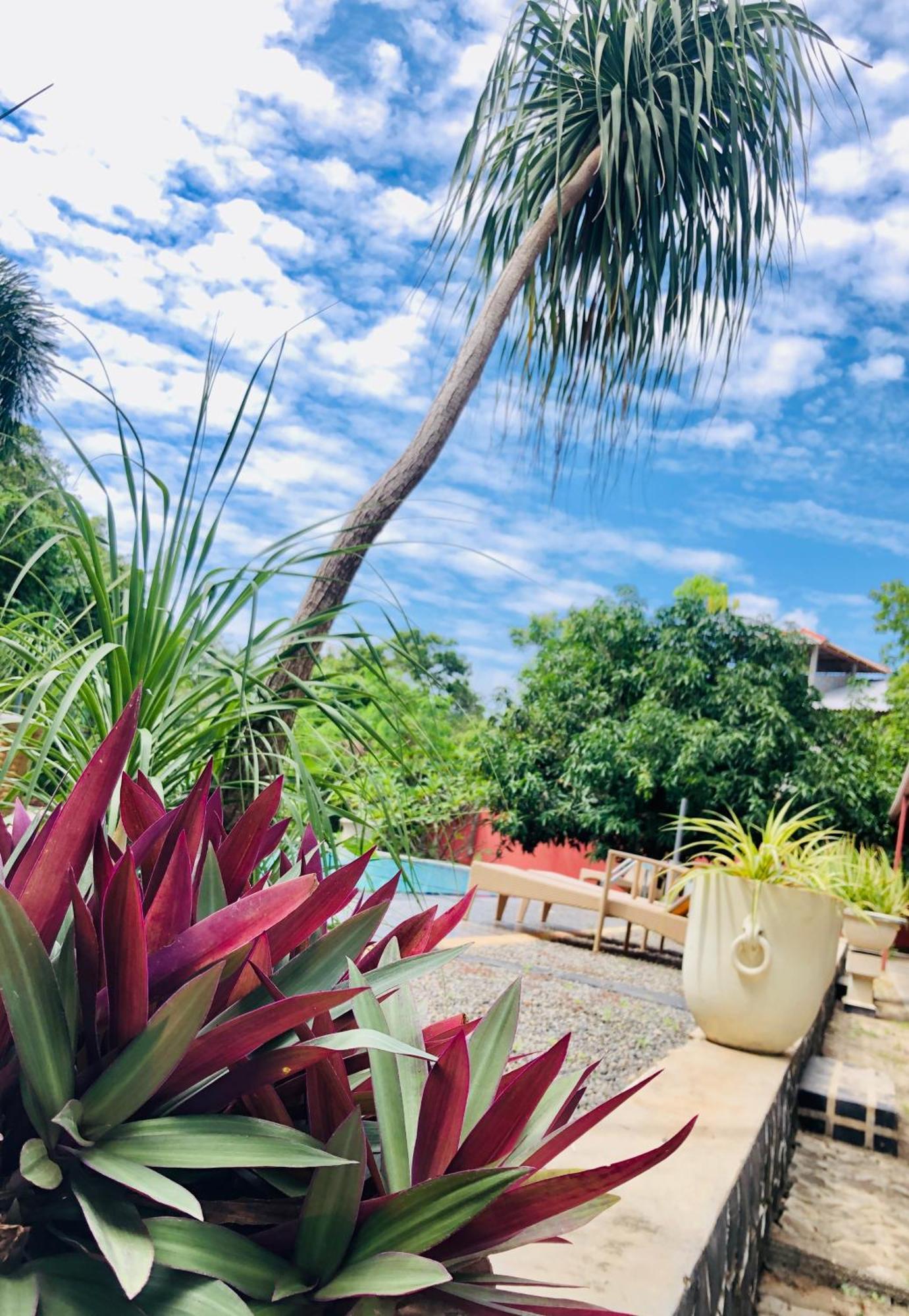 Saman Resort Yala Tissamaharama Exteriér fotografie