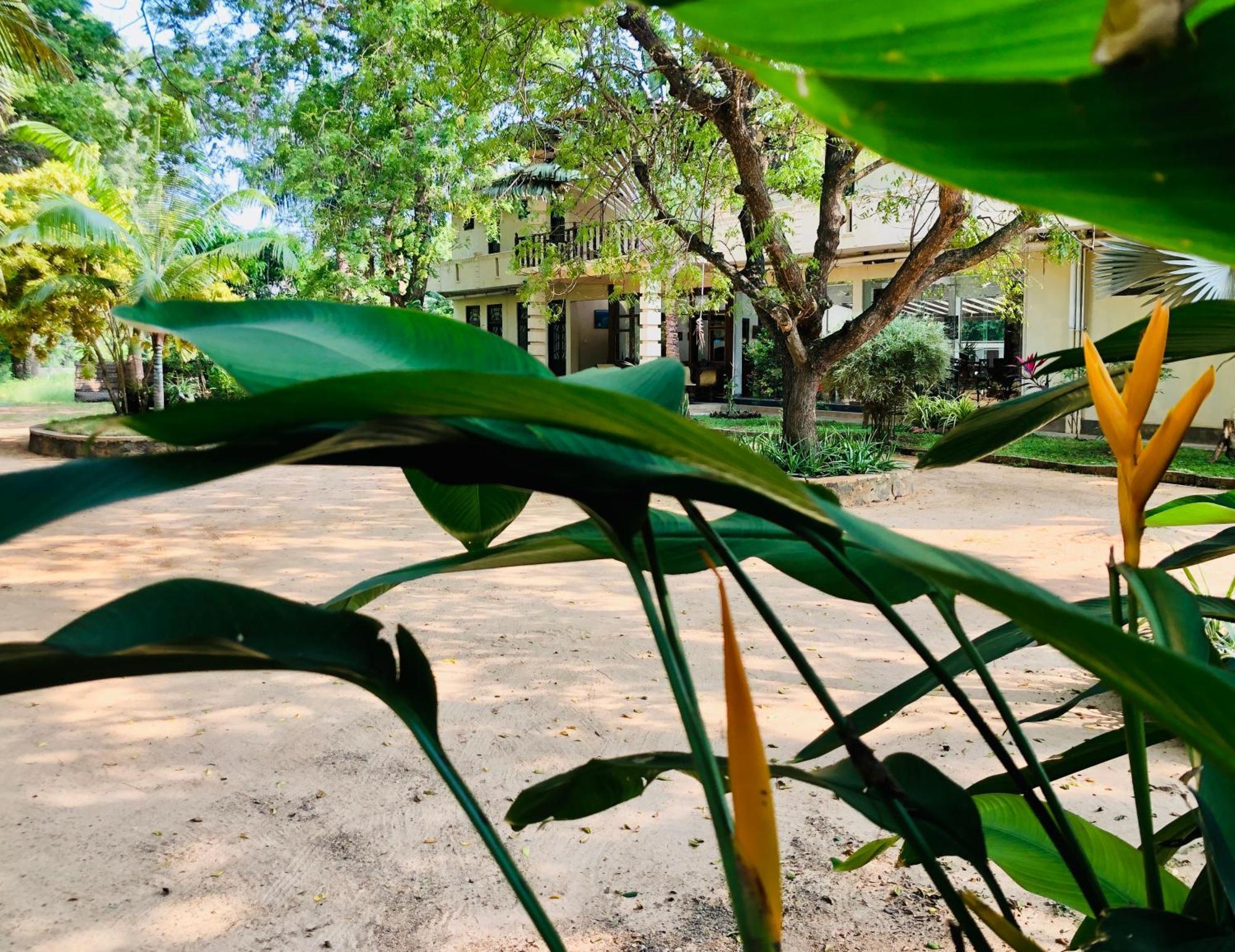 Saman Resort Yala Tissamaharama Exteriér fotografie